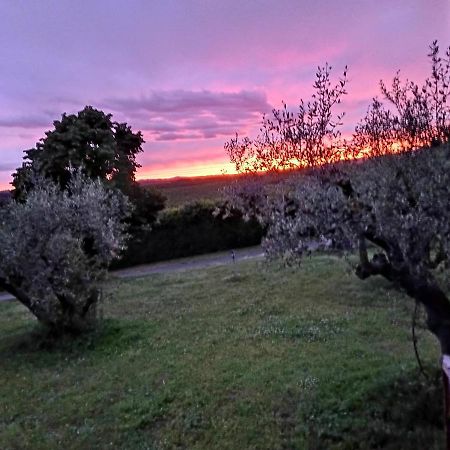 Bed and Breakfast L'Orto Sul Poggio Сутри Экстерьер фото