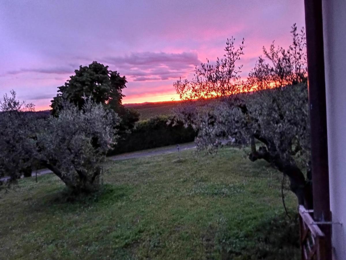 Bed and Breakfast L'Orto Sul Poggio Сутри Экстерьер фото